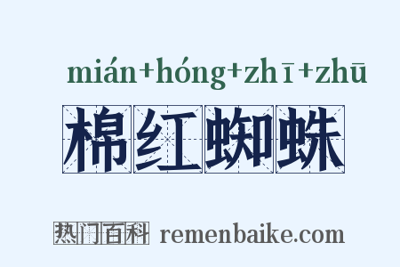 棉红蜘蛛是什么意思的图片